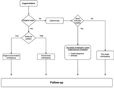 Surgical treatment of cryptorchidism: current insights and future directions